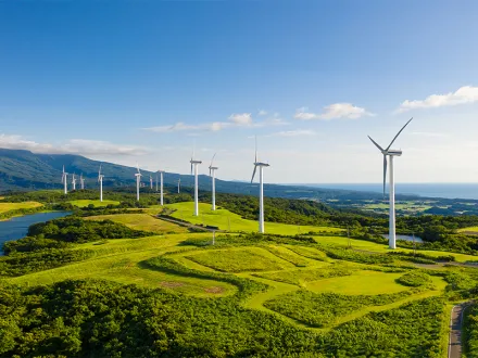 New energy industry