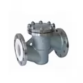 Fluorine liner check valve