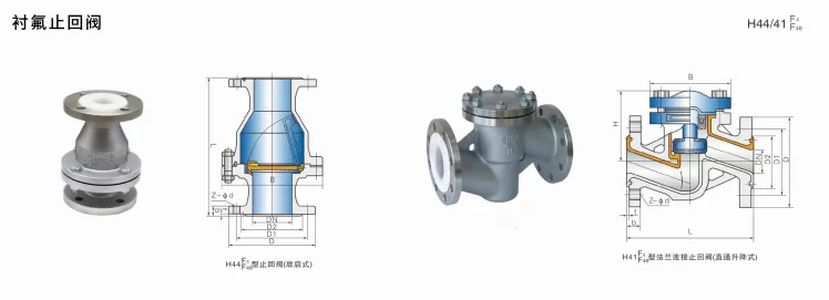 Fluorine lined check valve